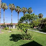 La Gaviota - Maxi Appartement Icod De Los Vinos
