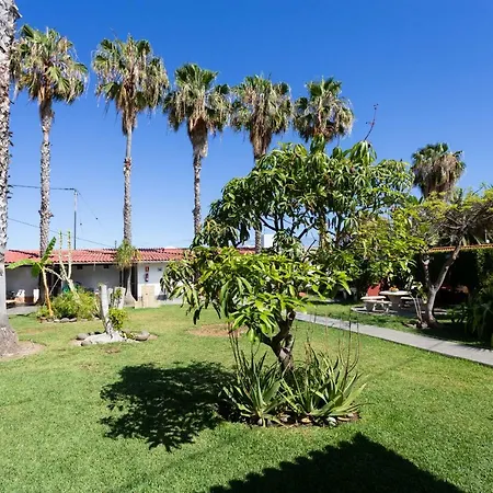 La Gaviota - Maxi Daire Icod De Los Vinos