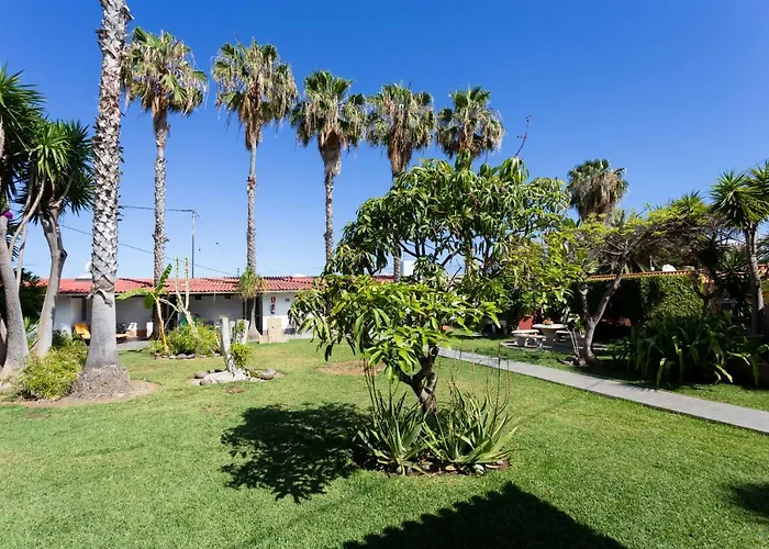 La Gaviota - Maxi Διαμέρισμα Icod De Los Vinos